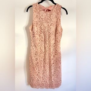 NEW Blush Lace Sheath Dress Sam Edelman